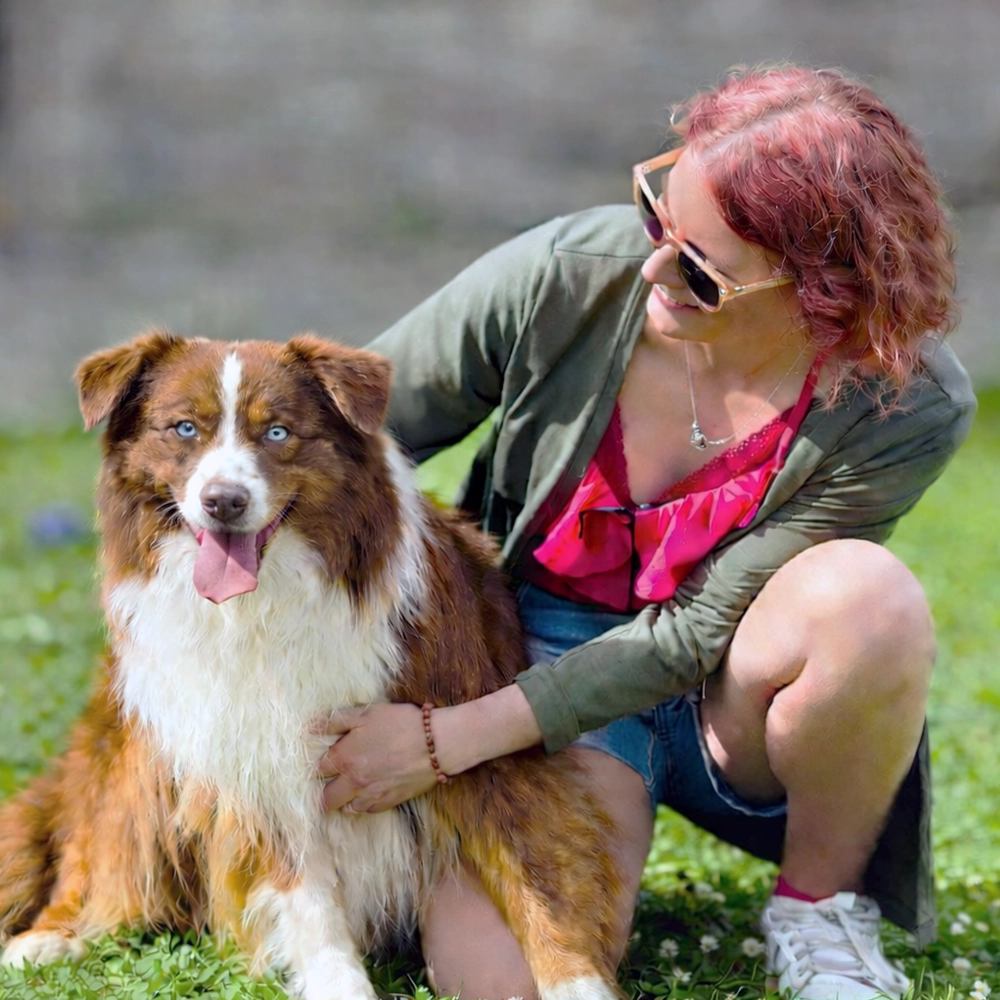Berger Australien LOF avec sa maitresse - Normandie